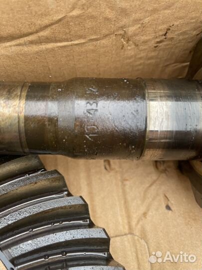 Планетарка хвоставик