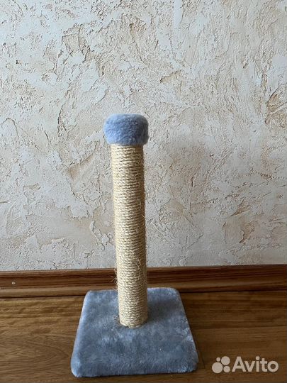 Когтеточка