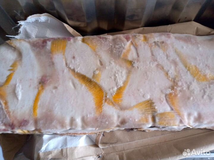 Рыба свежемороженая горбуша
