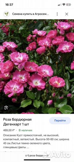 Приму цветы, или обмен