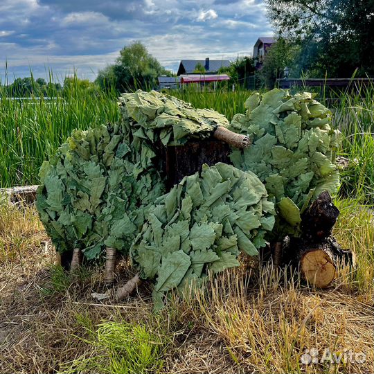Краснодарские дубовые веники для бани