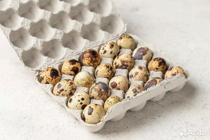 Яйца перепелиные домашние