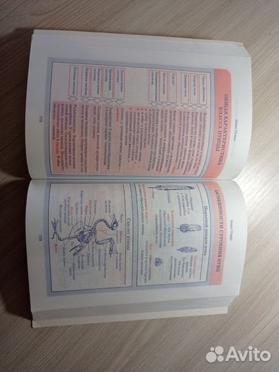 Справочник по биологии. Подготовка к ЕГЭ