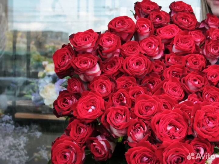 Цветы Розы Люксор