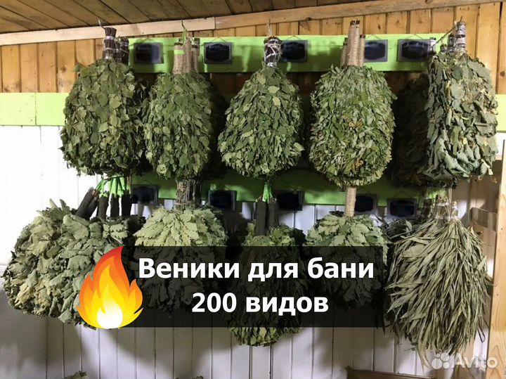 Лапник пихтовый для бани Только оптом от 100шт