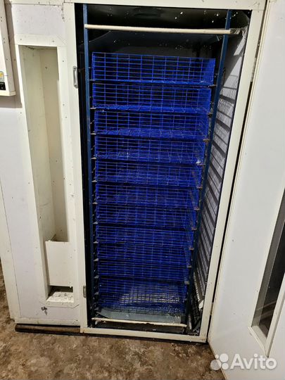 Инкубатор рэмил