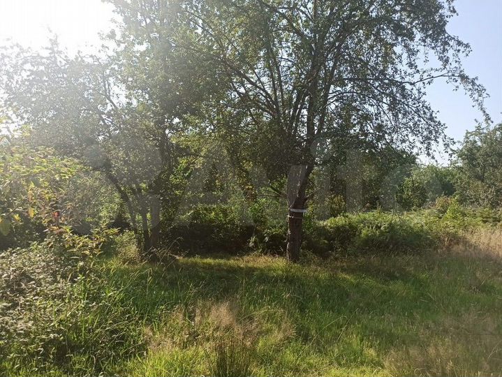 Участок 7,5 сот. (ИЖС)