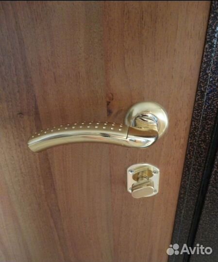 Дверь входная металлическая