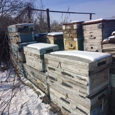 Улей для пчел б/у