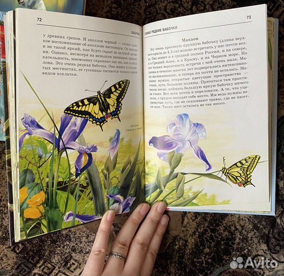 Энциклопедии для детей