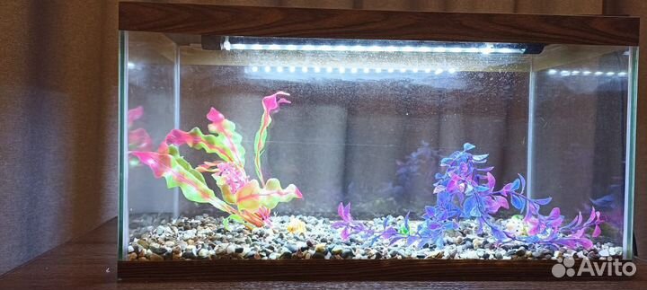 Аквариум