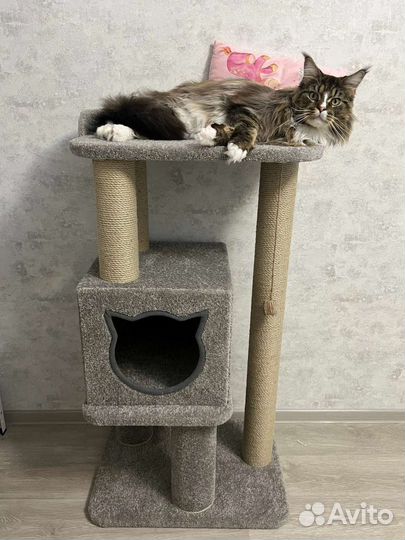 Домики для кошек. Когтеточки Барс