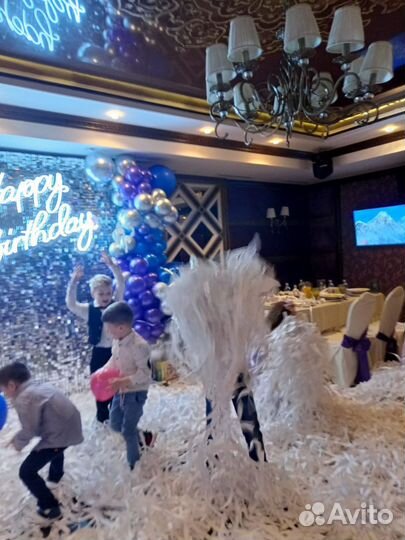 Фокусник Звери Пена Аниматоры разные Шоу для детей