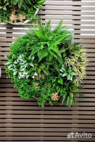 Ковры из зелени на стену тг DecorArea