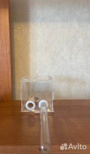 Муравьиная ферма