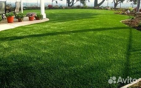 Газон рулонный