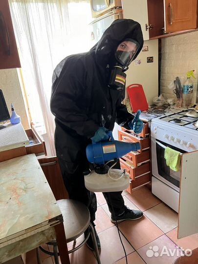 Травка клопов и тараканов, дезинсекция дезинфекция