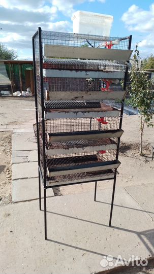Клетка для перепелок