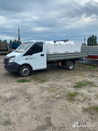 Доставка живой рыбы, перевозка живой рыбы по РФ