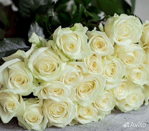 Высокие розы, букеты, цветы Доставка