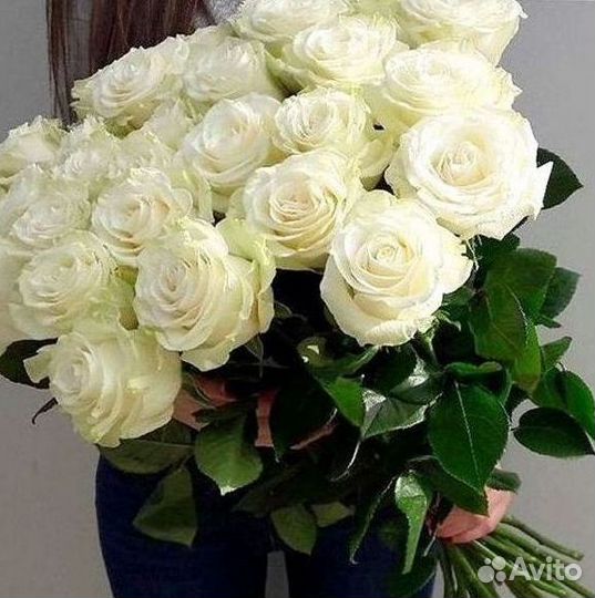 Розы Букеты Цветы Розы 31 101 151 201 Доставка