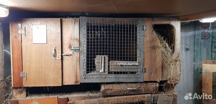 Клетка для кроликов