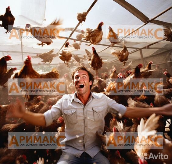 Оператор линии на птицефабрику, вахта