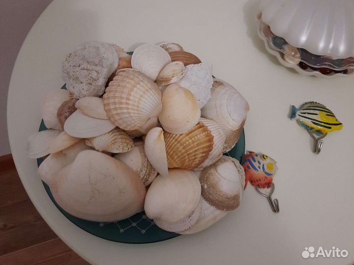 Ракушки для аквариума