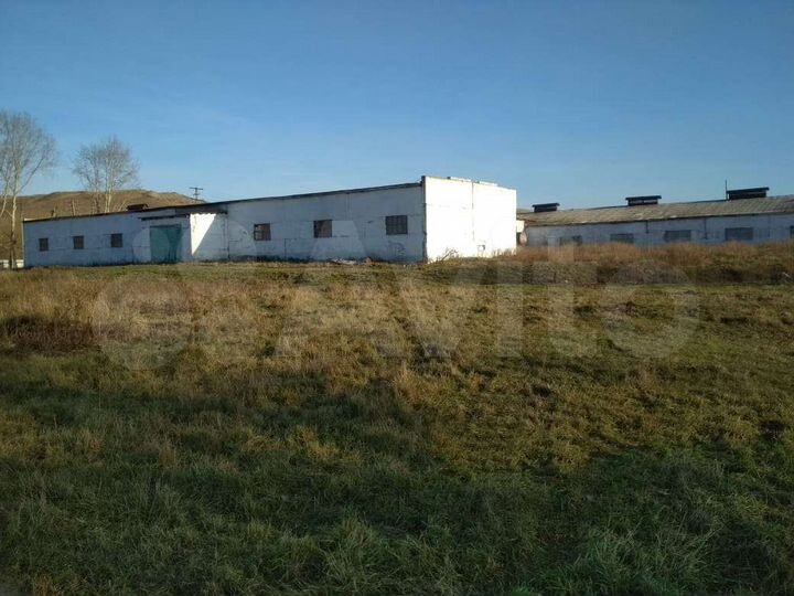 Свободного назначения, 8000 м²