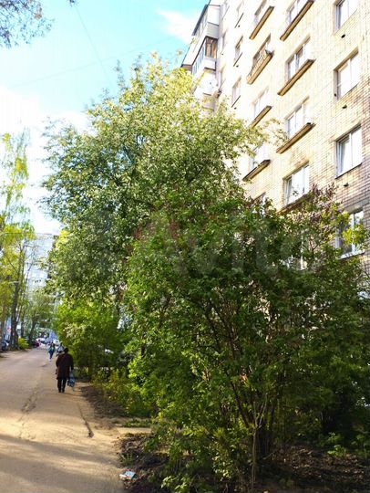 3-к. квартира, 61,1 м², 9/9 эт.