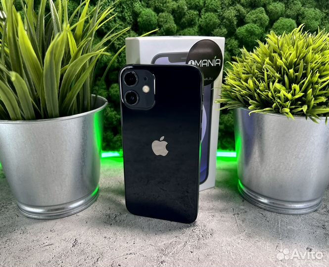iPhone 12 mini, 256 ГБ