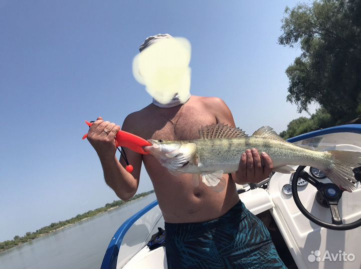 Рыбалка с гидом на Иртыше, гайдинг