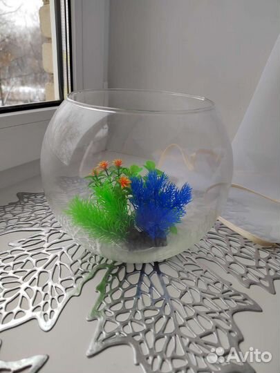 Аквариум 3 л