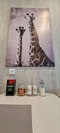 Квартира-студия, 25 м², 17/25 эт.