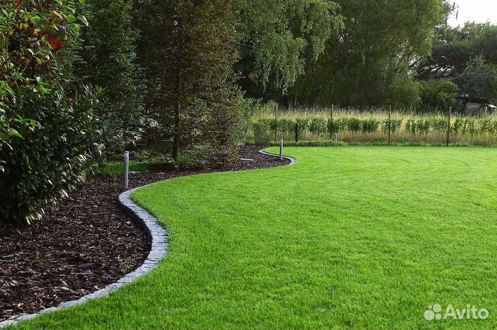 Рулонный газон, укладка, продажа