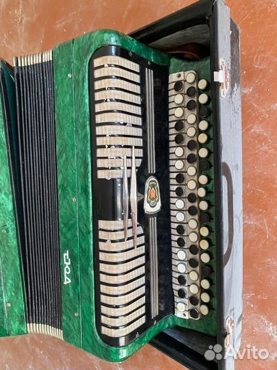 Баян беларусь и баян гула