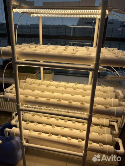 Установка для выращивания зелени и овощей