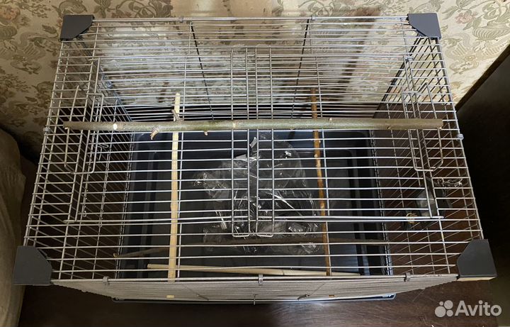 Клетка для птиц