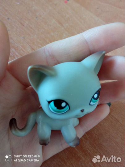 Littlest Pet Shop