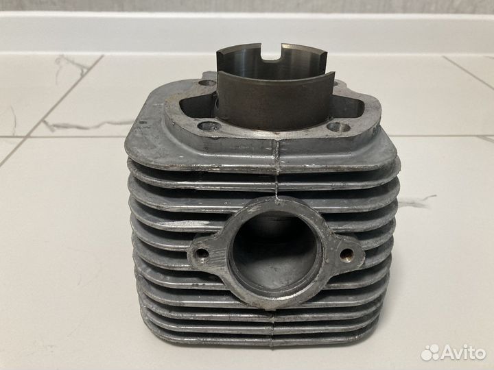 Поршневая Муравей