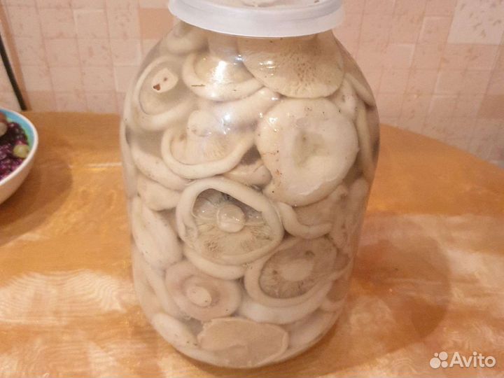 Грузди белые