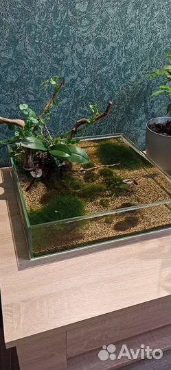 Аквариум Флорариум