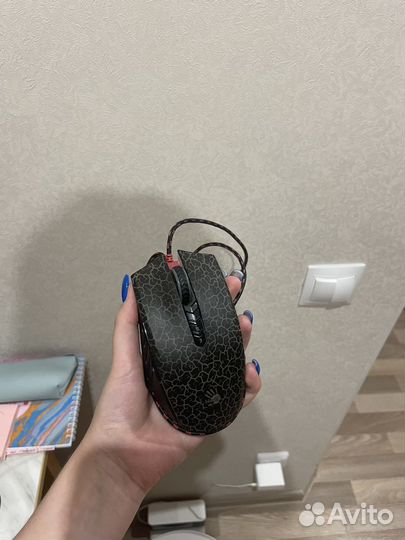 Компьютерная мышка