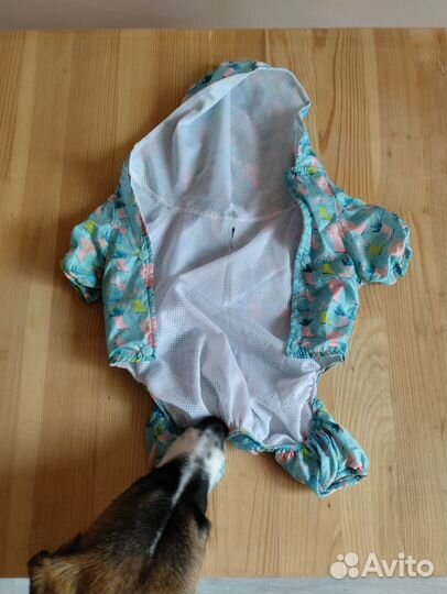 Одежда для собаки