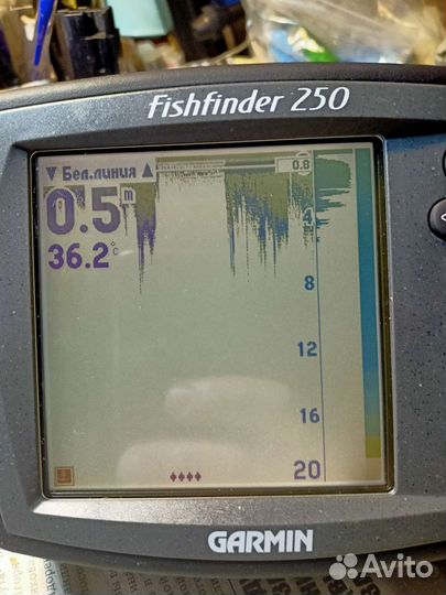 Эхолот Garmin Fishfinder 250 оригинал
