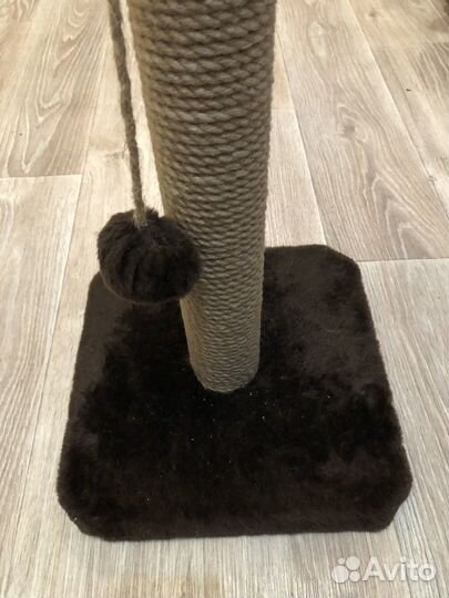 Когтеточка