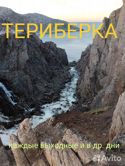 Териберка одним днём+ в море за китами
