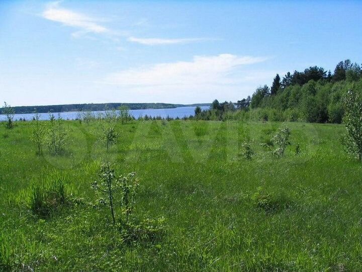 Участок 25 сот. (ИЖС)