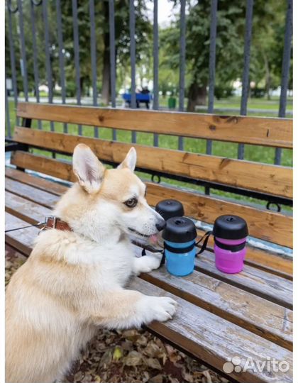 Поилка для животных дорожная новая