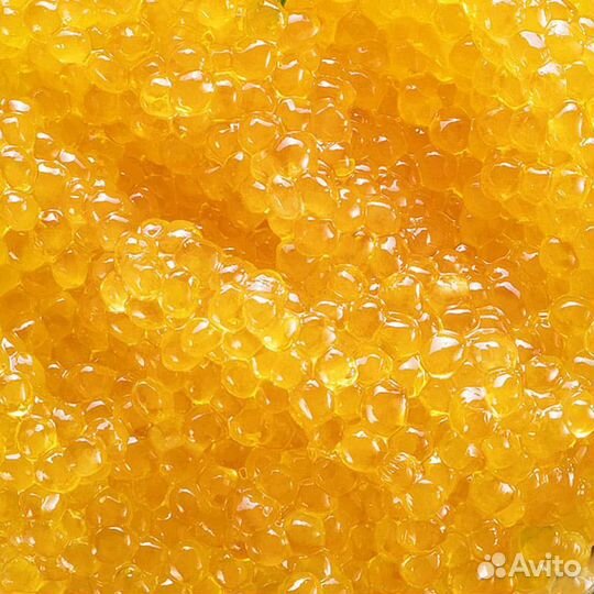 Икра щуки Щучья икра щука